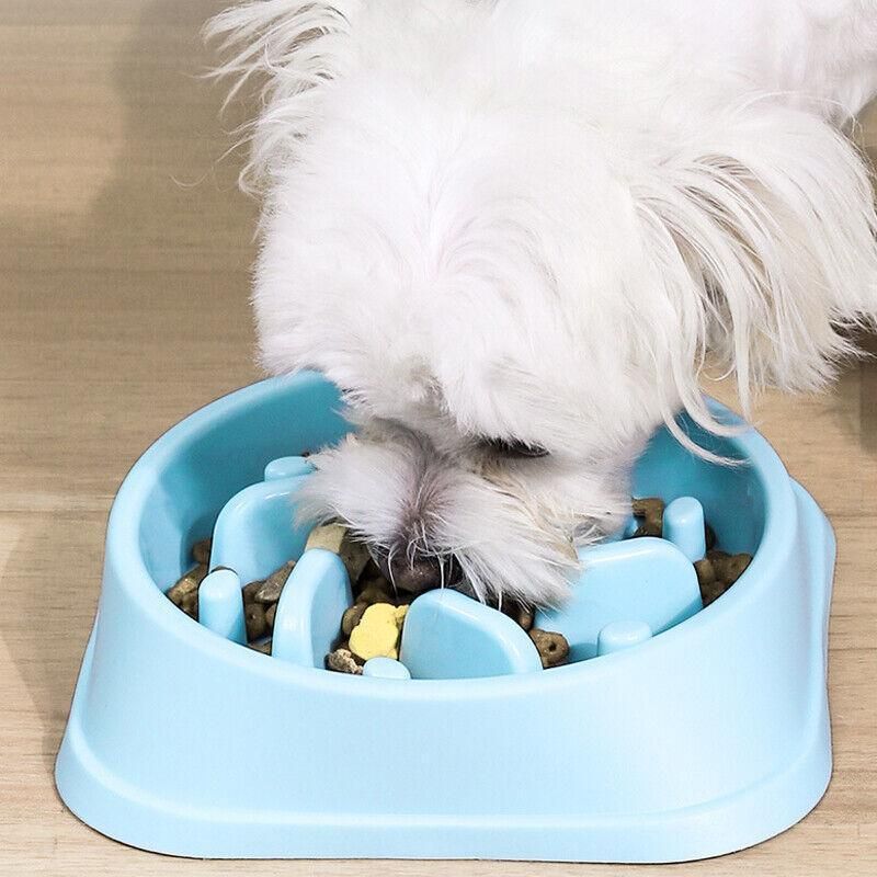 Dog-Bowl Dishes Slow-Feeder Large Pet-Eat Dogs Food-Nonslip Interactive Large - Green