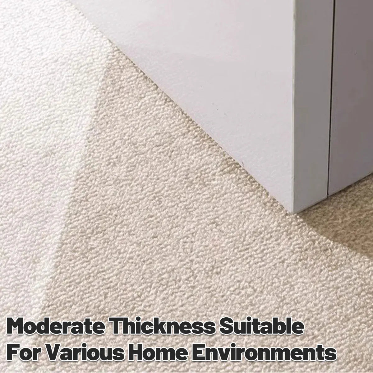 Premium Non Slip Front Door Mat Indoor Outdoor Entrance Rug Durable Dust Proof - 80x120cm
