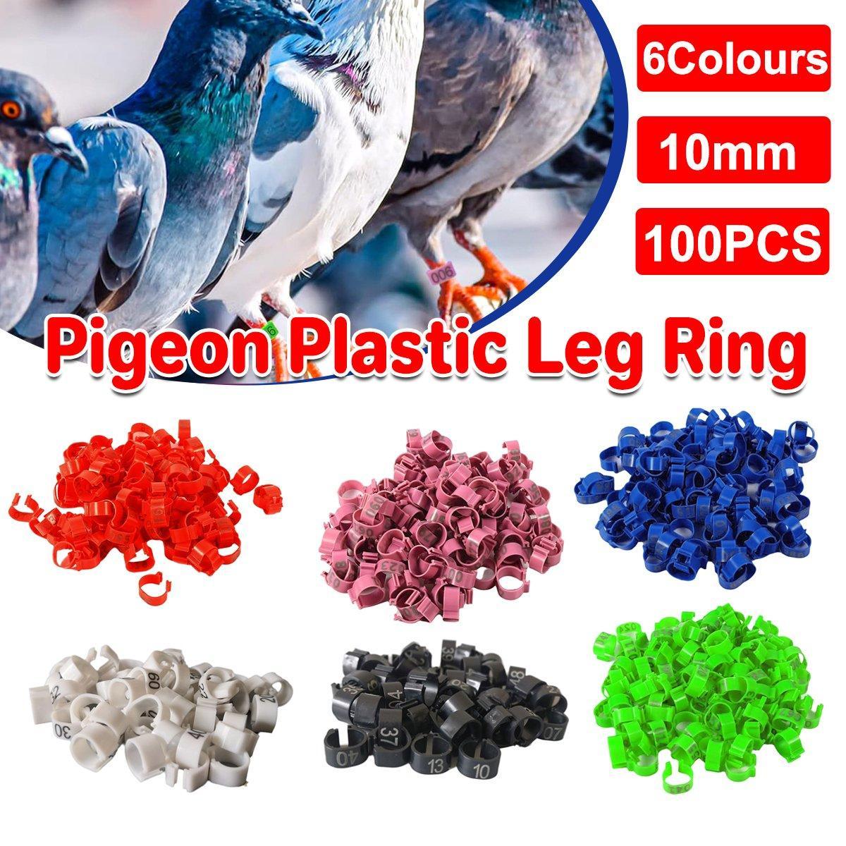 100X 001-100 Digital Numbered Bird Leg Band Rings Clip For Pigeon Parrot Poultry - Green