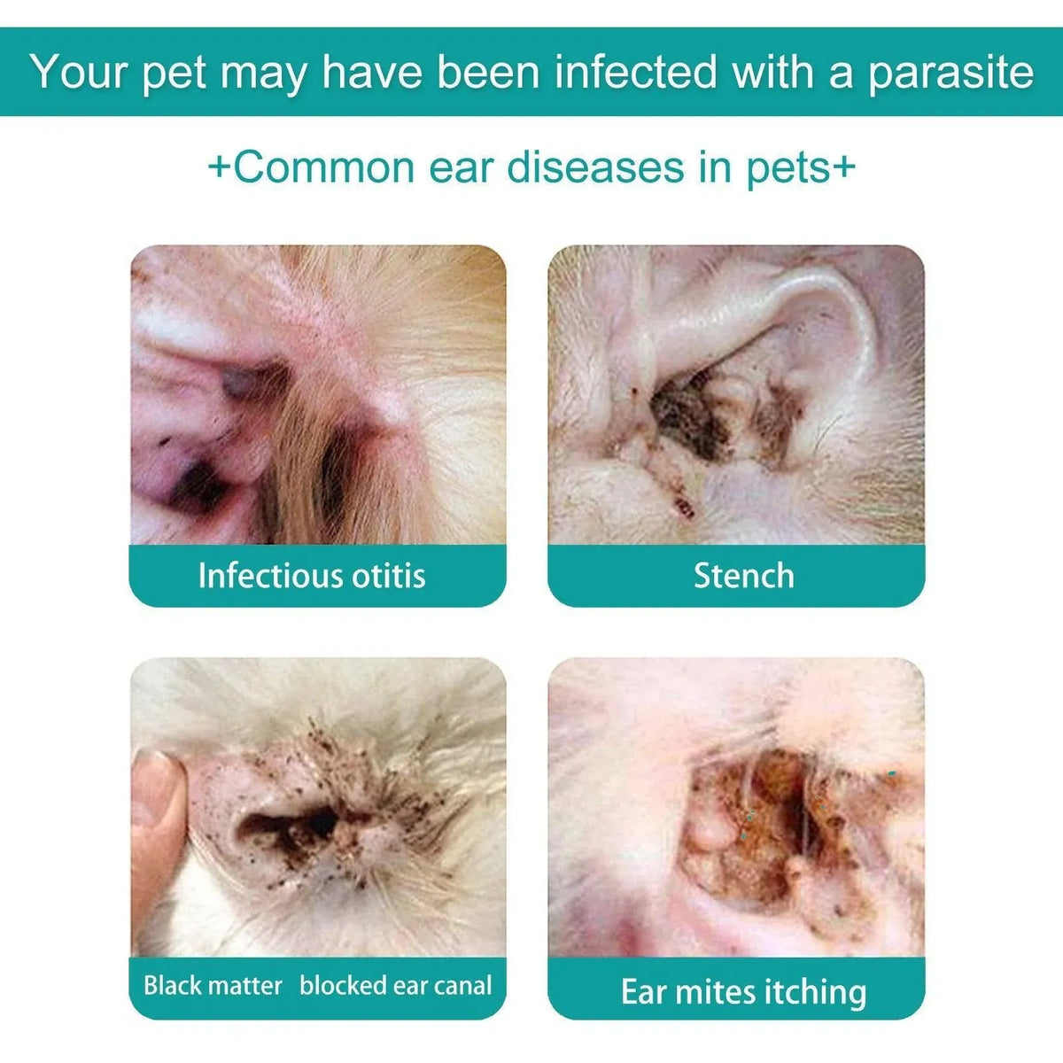 Pet Ear Cleaning Oil for Cats Dogs Deodorize Clean Ears Universal Ear Care Oil