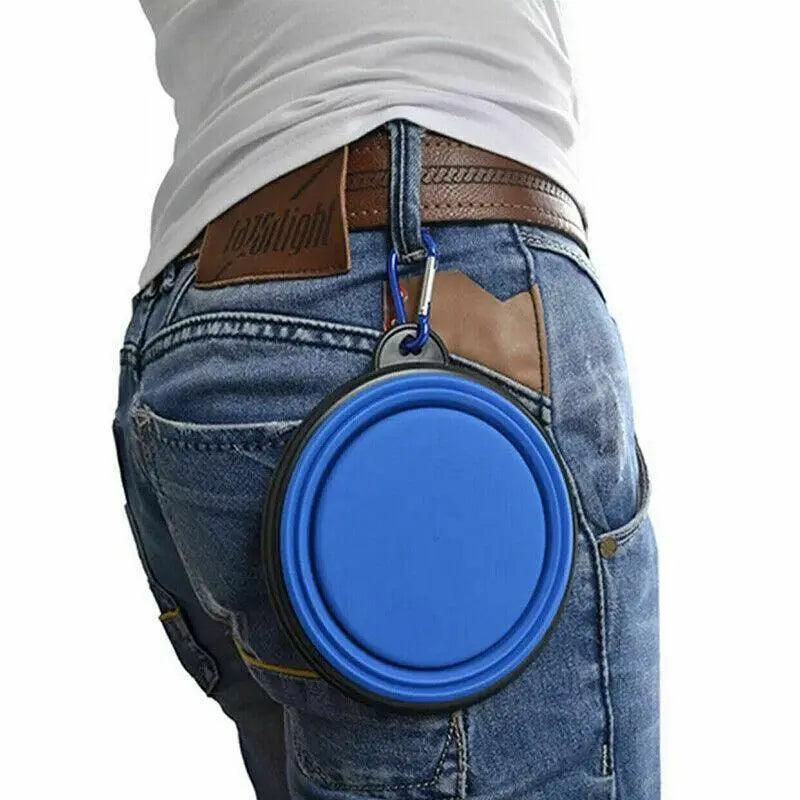 Foldable Silicone Pet Bowl Portable Travel Feeder for Dog and Cat - Blue