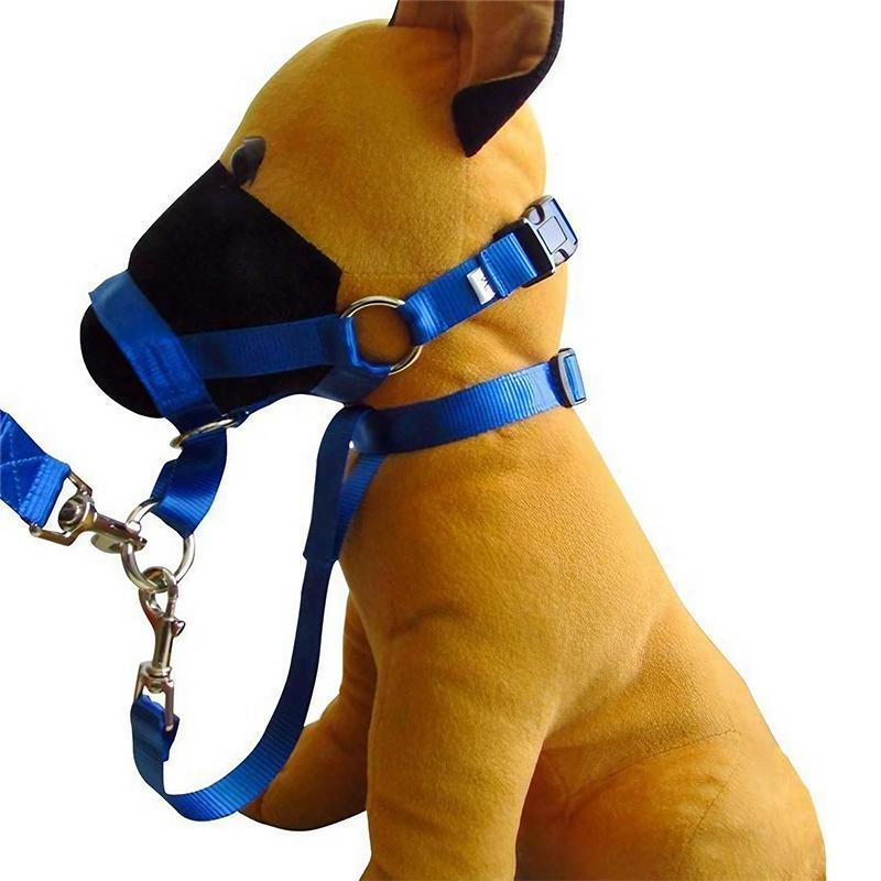 Black Dog Training Head Collar Halter Stop Pulling Training Tool Harness Strap Leader - XL