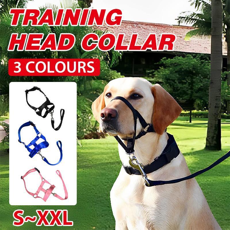 Pink Dog Training Head Collar Halter Stop Pulling Training Tool Harness Strap Leader - XL