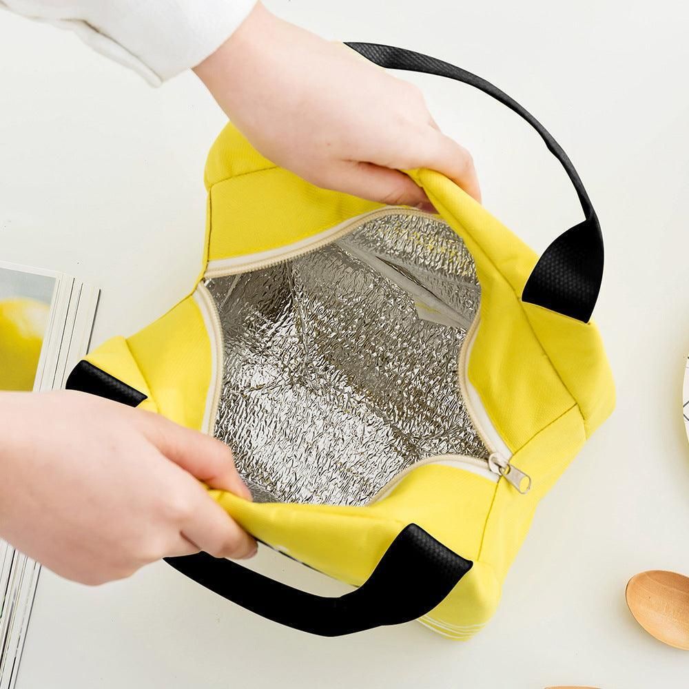 Portable Insulated Thermal Lunch Box Carry Tote Picnic Case Storage Bag 21x17x15cm - B02 (21x17x15cm)