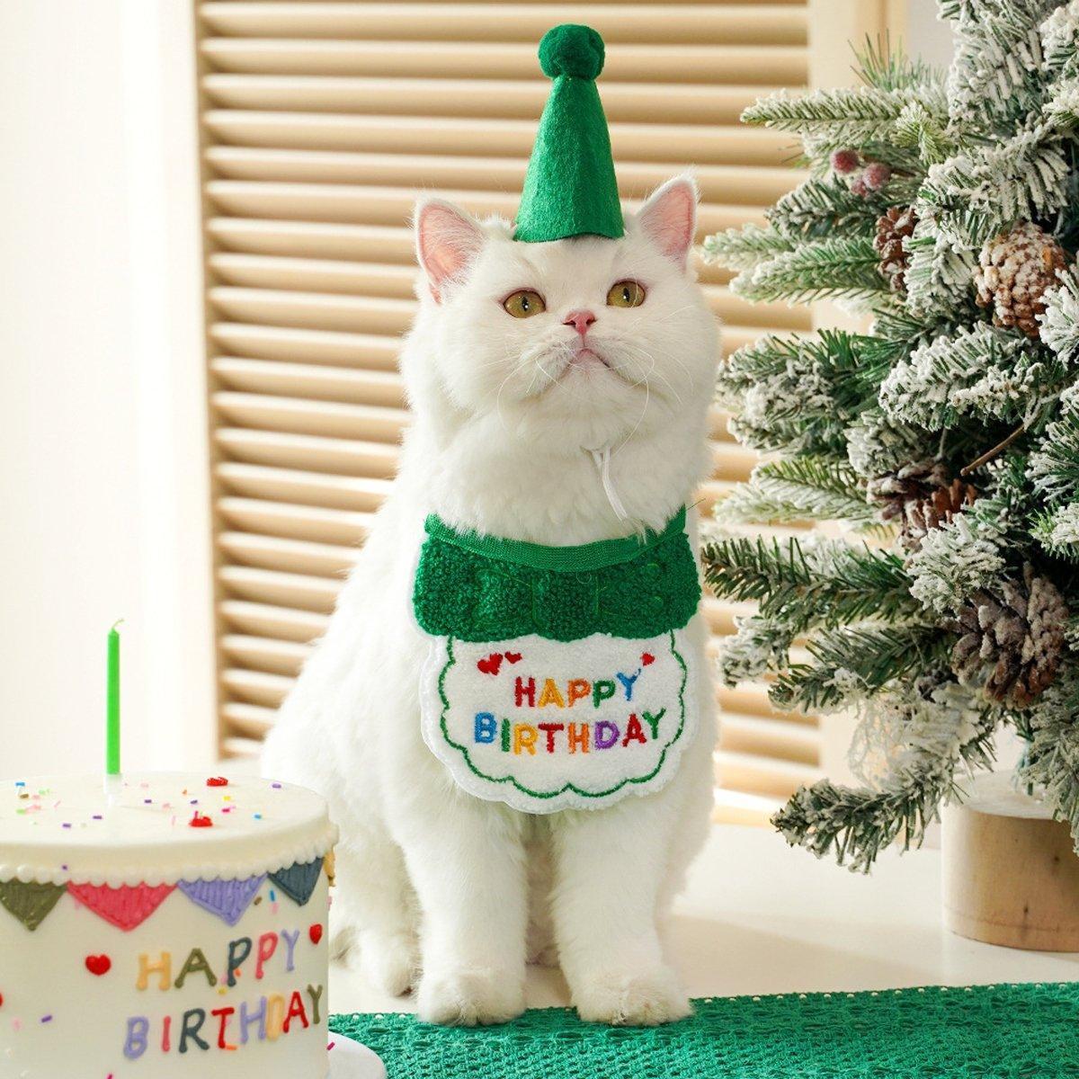 Pet Birthday Dog Cat Bib Scarf Hat Accessory Dogs Cats Celebration - Pink