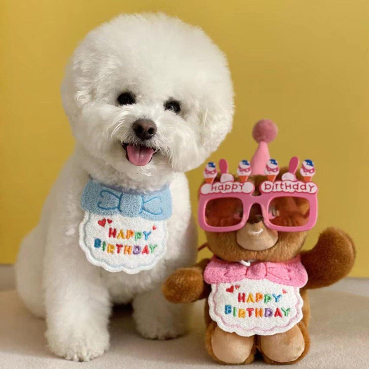 Pet Birthday Dog Cat Bib Scarf Hat Accessory Dogs Cats Celebration - Red