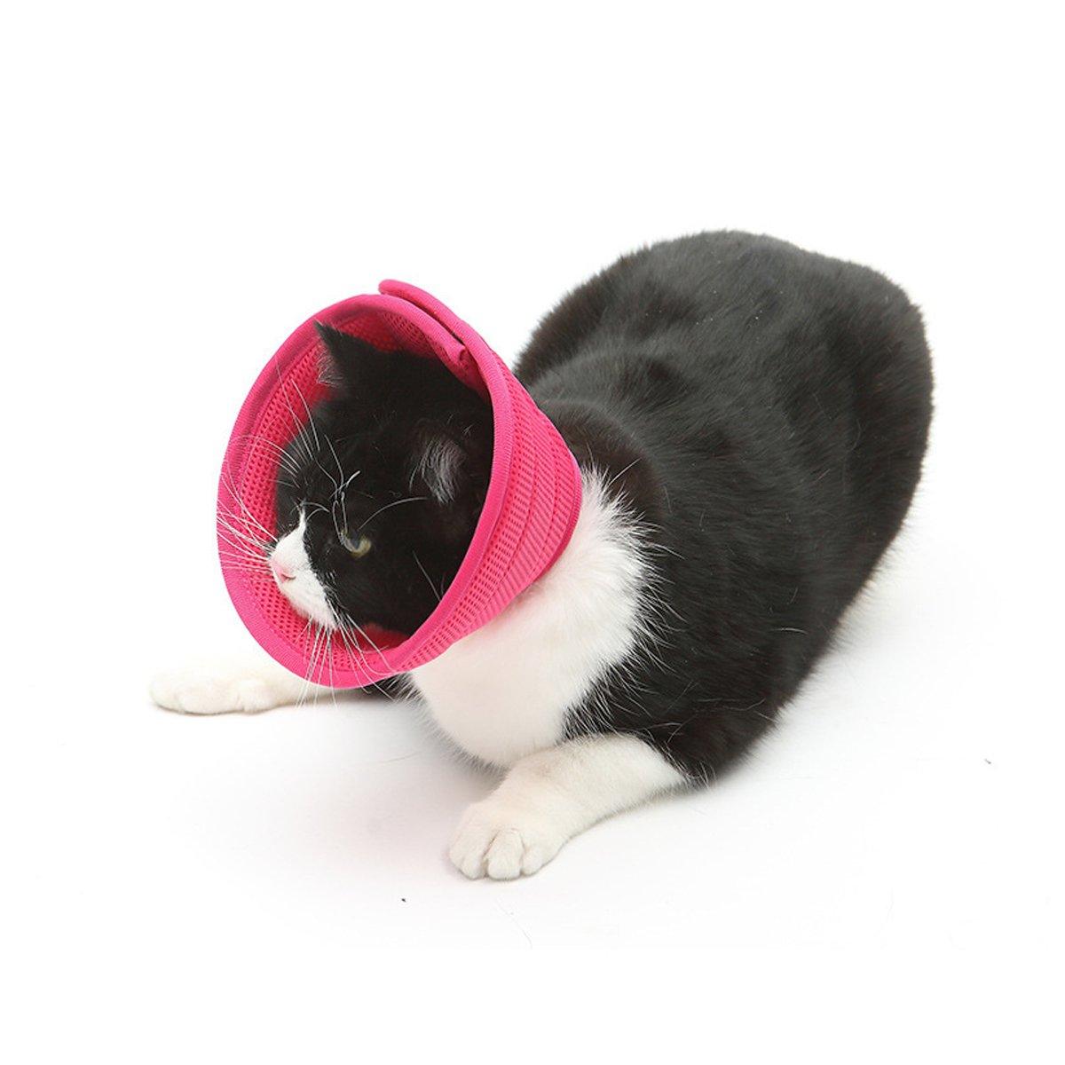 Elizabethan Collar Anti Licking Biting Pet Collar for Cats and Dogs Recovery Use - Grey-Size2