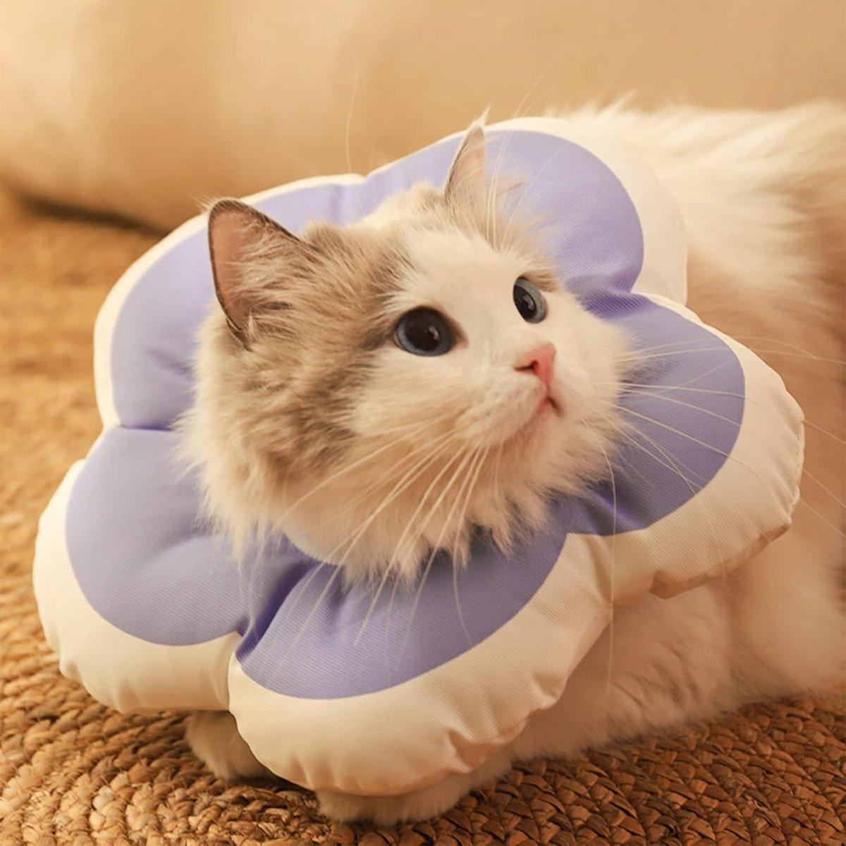 Elizabethan Cat Recovery Collar Anti Licking Pet Cone Protective Neck Ring - Yellow-L