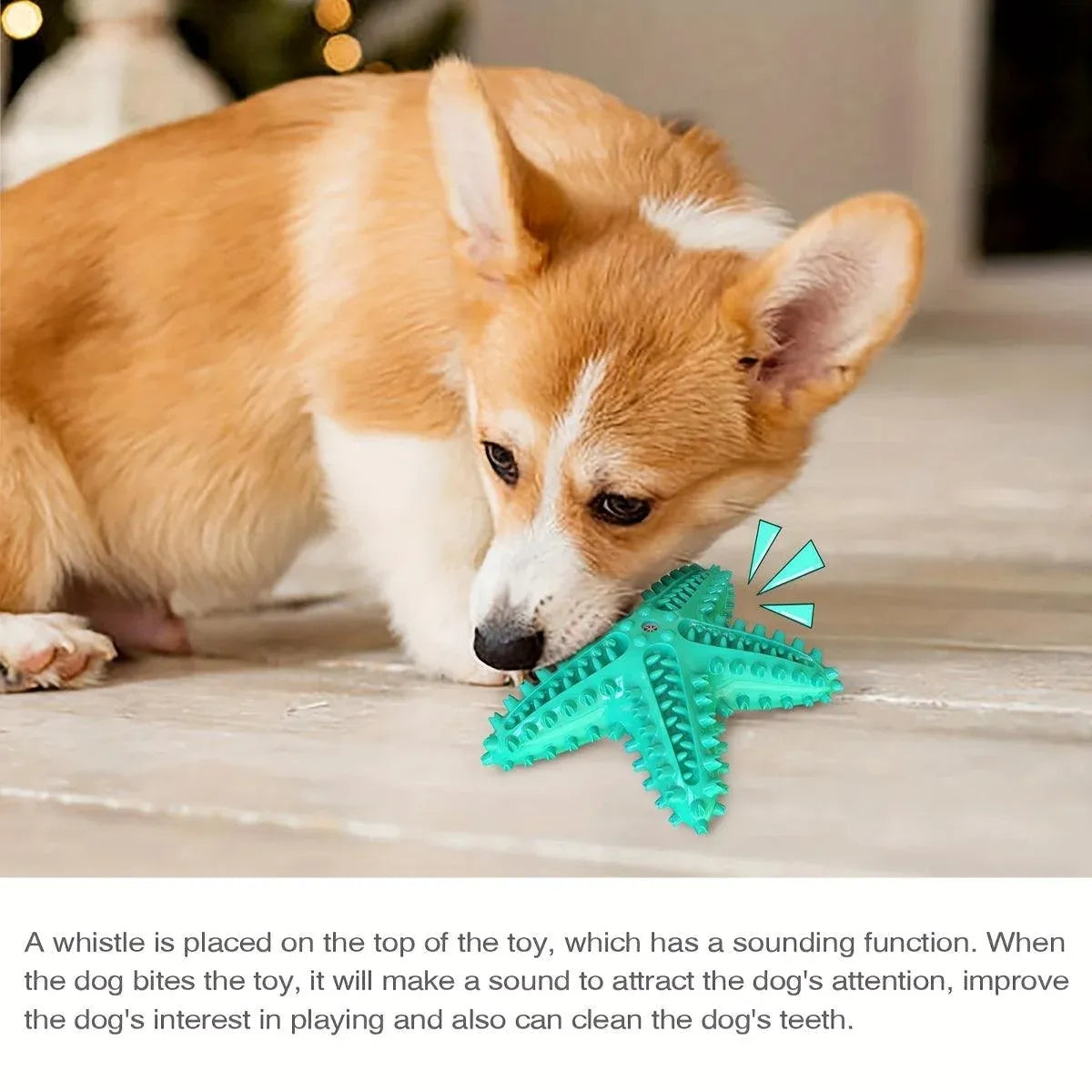Pet Starfish Floating Dog Toy Audible Water Toy for Dogs Interactive Play Fun - Lake Blue