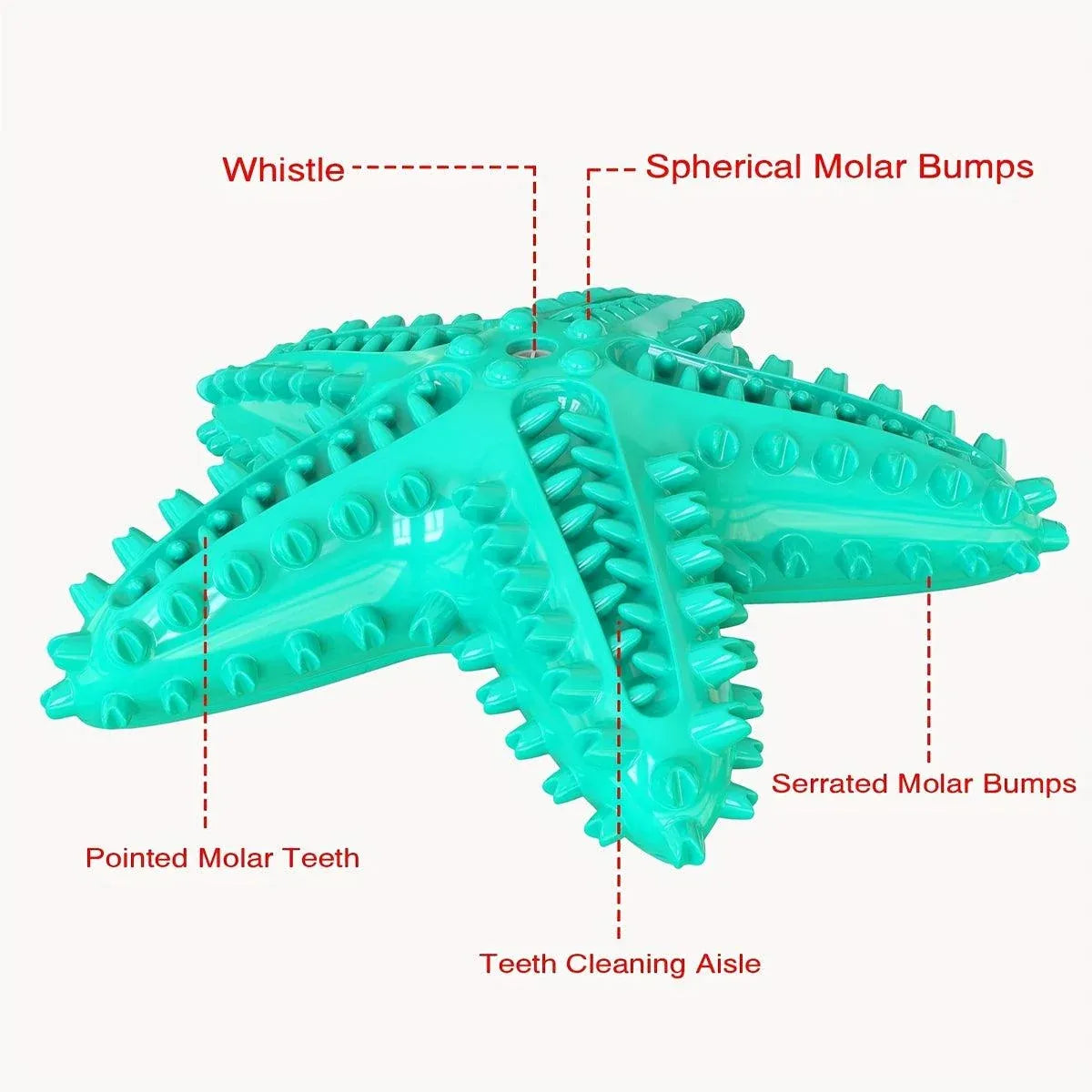 Pet Starfish Floating Dog Toy Audible Water Toy for Dogs Interactive Play Fun - Lake Blue