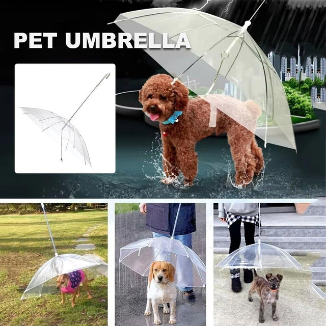 Pet Dog Transparent Umbrella 30 inch Diameter w/ Dog Leash For Rain Walking