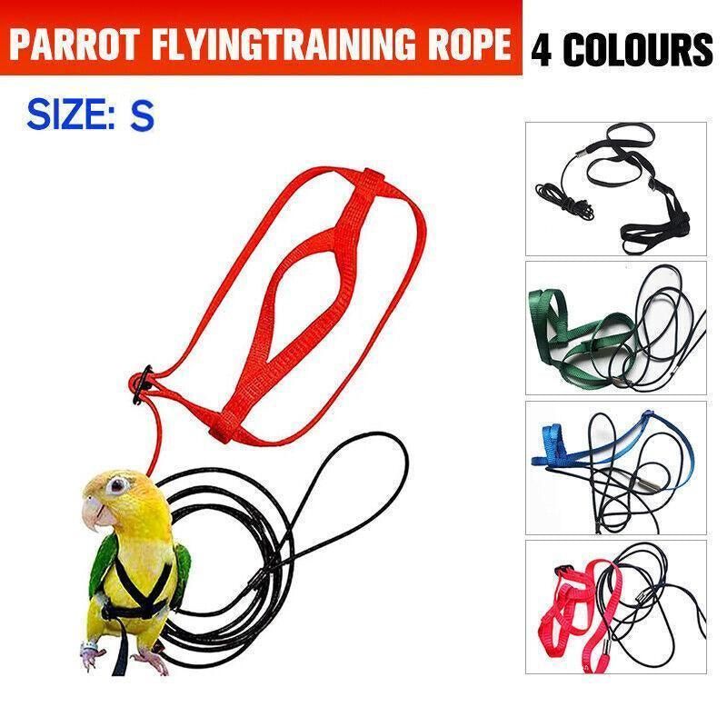 S Pet Parrot Bird Harness Lead Leash Flying Training Rope Cockatiel Outdoor - Blue