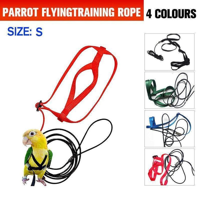 S Pet Parrot Bird Harness Lead Leash Flying Training Rope Cockatiel Outdoor - Blue