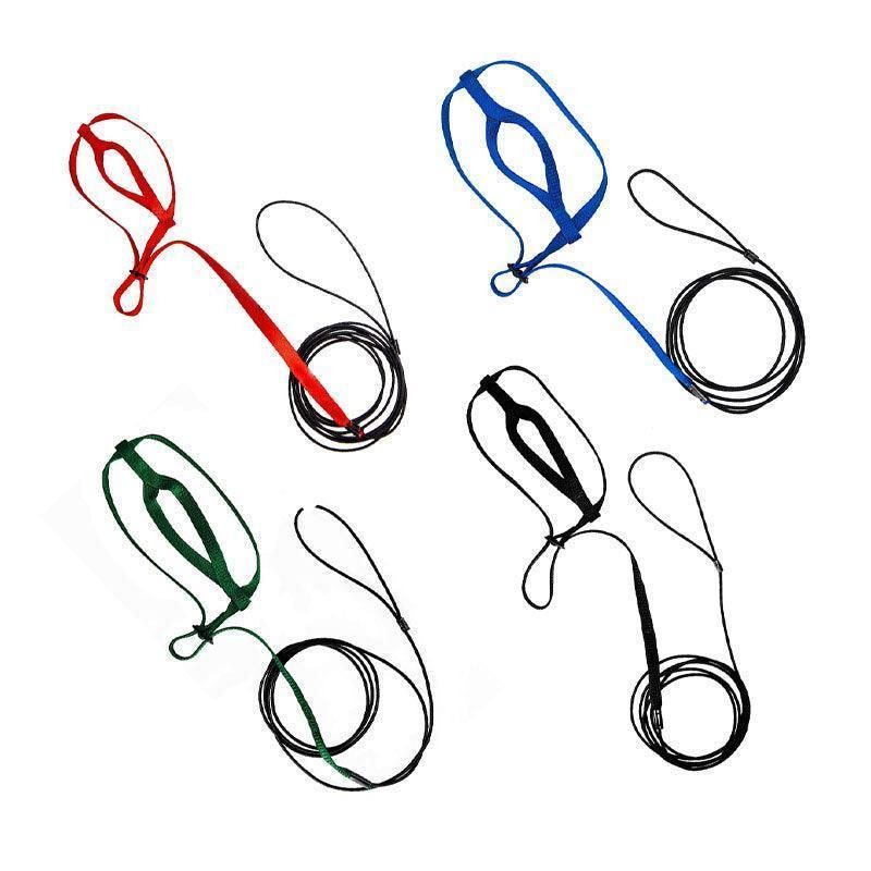 S Pet Parrot Bird Harness Lead Leash Flying Training Rope Cockatiel Outdoor - Blue