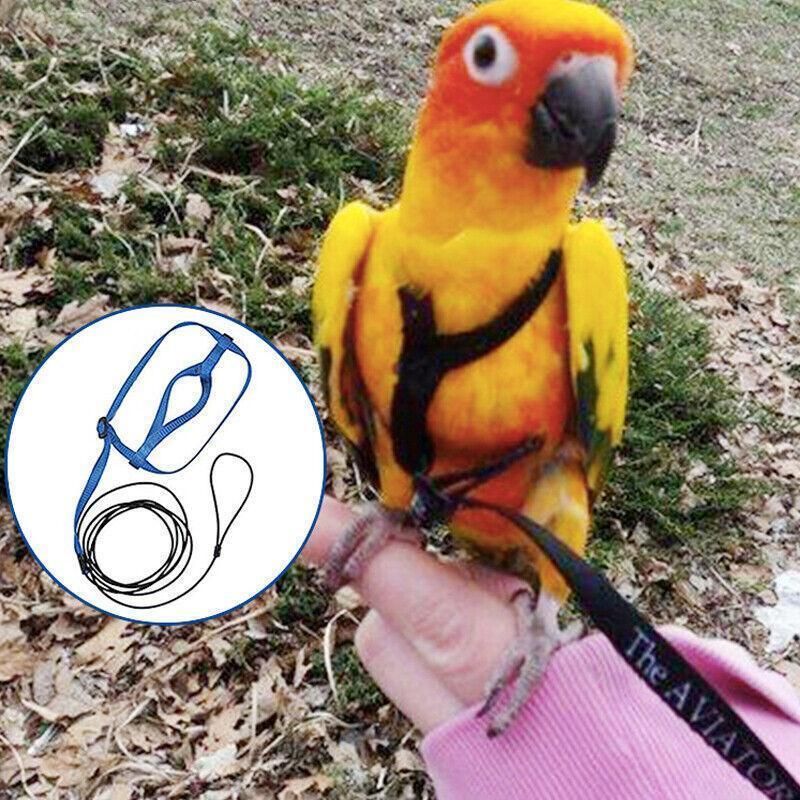 S Pet Parrot Bird Harness Lead Leash Flying Training Rope Cockatiel Outdoor - Red