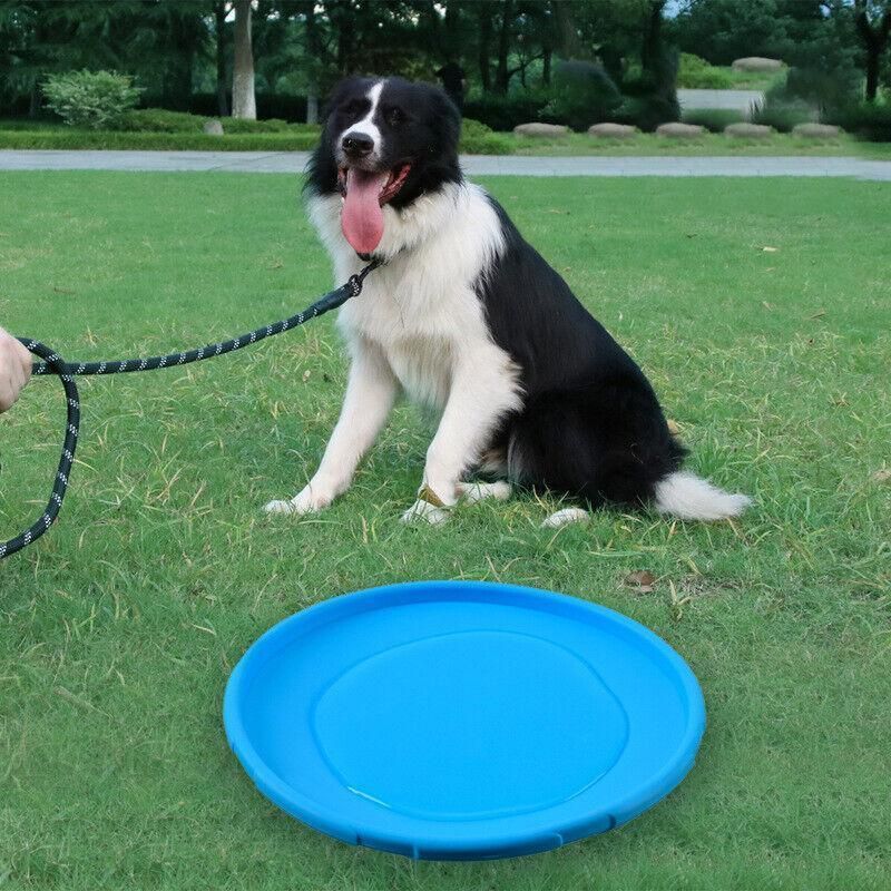 Frisbee Toy for Dogs Outdoor Fetch Training Soft Rubber Pet Flying Disc 18cm - Orange