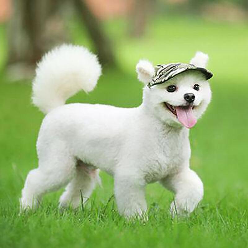 Dog Baseball Cap Outdoor Pet Sun Hat Summer Canvas Visor Puppy S Size - Blue