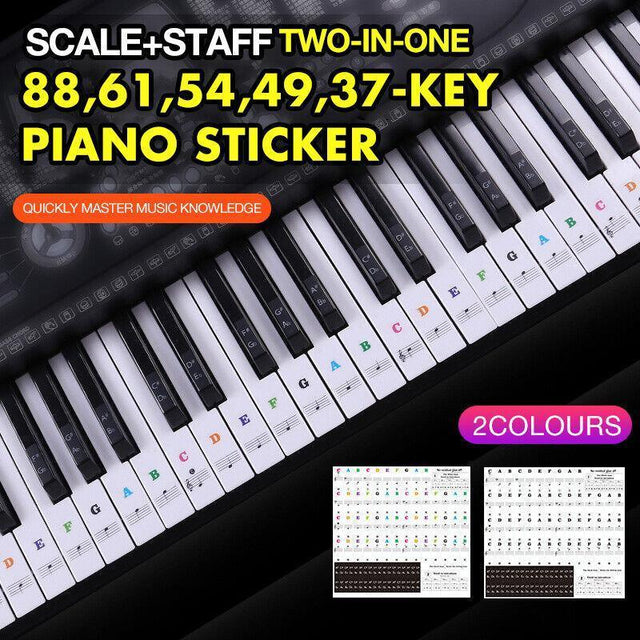 Transparent Keyboard Piano Stickers 88/61/54/49/37 Note Learner - Colourful