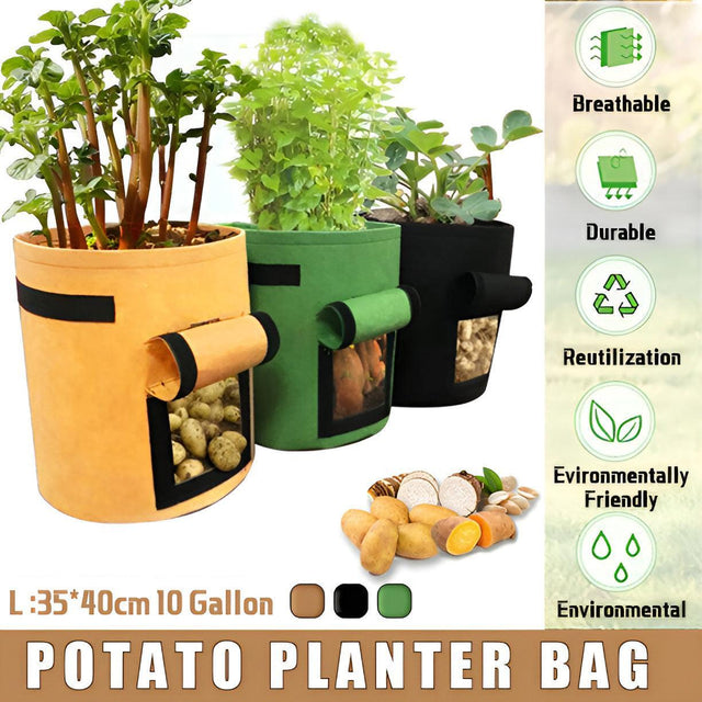 10 Gallon Potato Grow Bag Pouch Root Plant Growing Pot Side Window - Green
