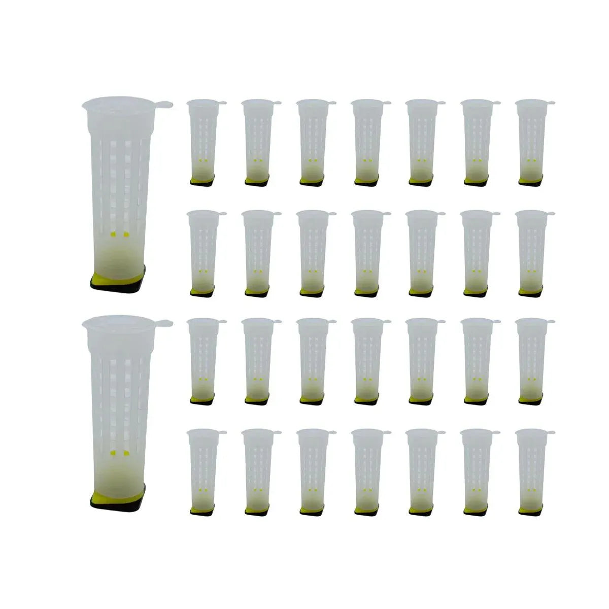 30pcs Bee Protective Covers Multi Functional King Cage Bee Bite Protector Shield