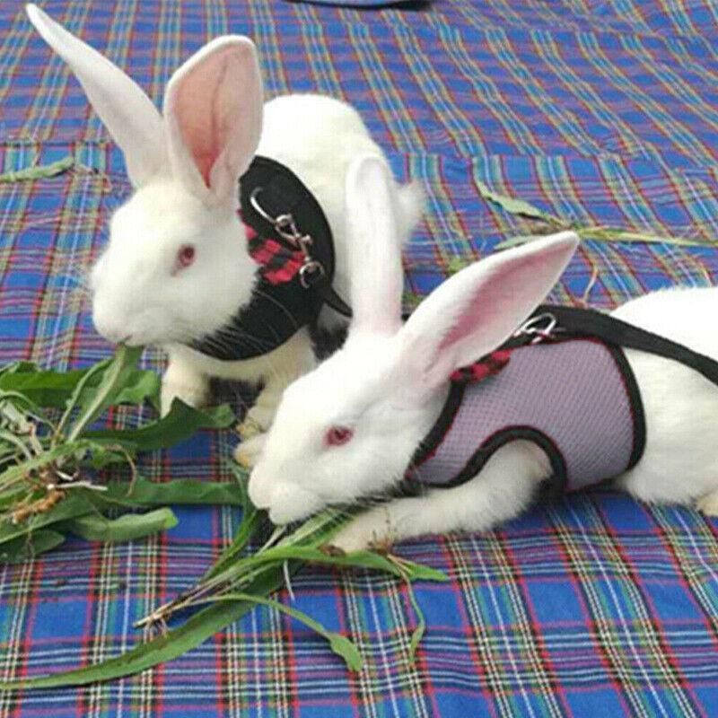 Rabbit Vest Harness Leash Lead Small Animal Pet Mesh Hamster Bunny Traction Rope S - Black