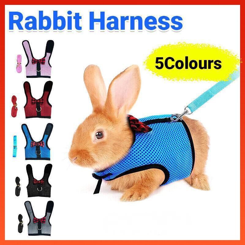 Rabbit Vest Harness Leash Lead Small Animal Pet Mesh Hamster Bunny Traction Rope S - Blue