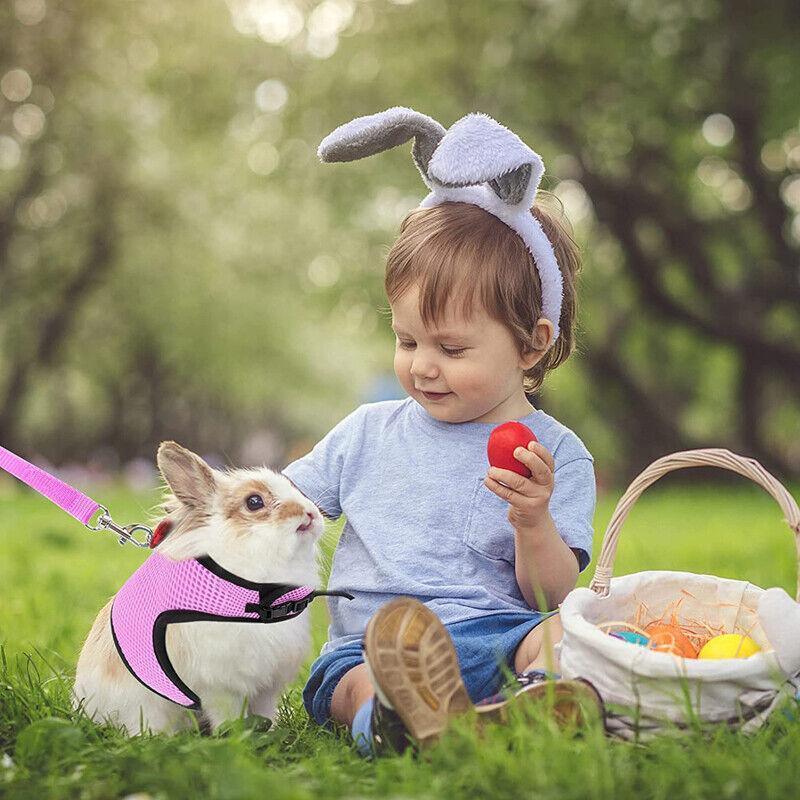 Rabbit Vest Harness Leash Lead Small Animal Pet Mesh Hamster Bunny Traction Rope L - Pink