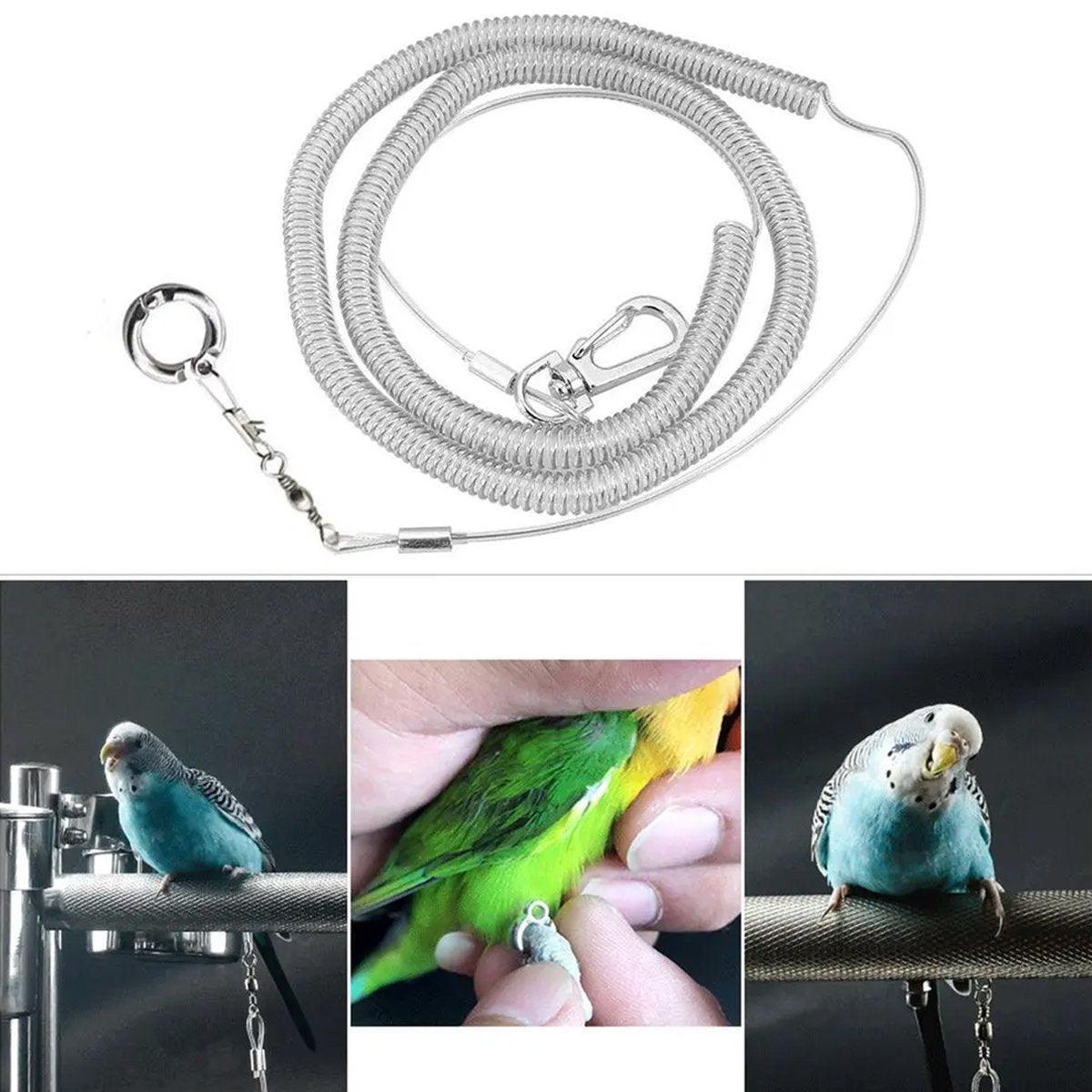 Parrot Leg Ring Anti Slip Bird Anklet Elastic Rope with Alloy Fasteners Supplies - 6mm