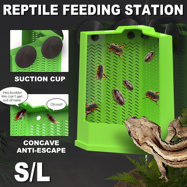 Reptile Hunting Dish Predator Trap Hanging & Placing Field Tool for Outdoors L