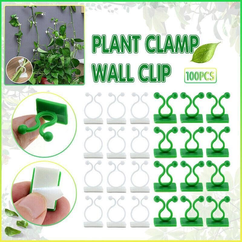 100Pcs Invisible Wall Clips for Plant Climbing & Vine Support