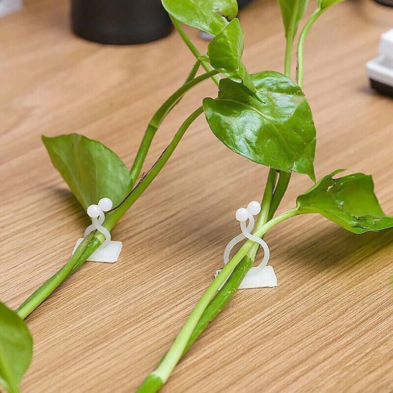 100Pcs Invisible Wall Clips for Plant Climbing & Vine Support