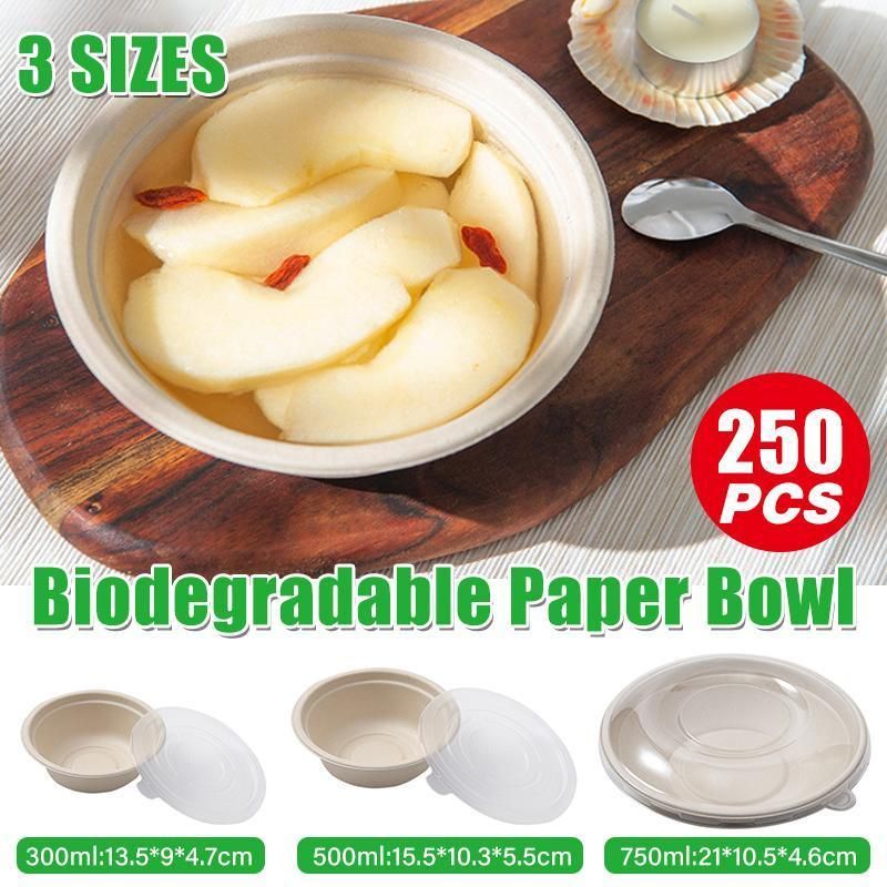 250PCS Food Preparation Burger Storages Cake Packaging Box Lunch Boxes Primary - Primary 500ml+PP lid