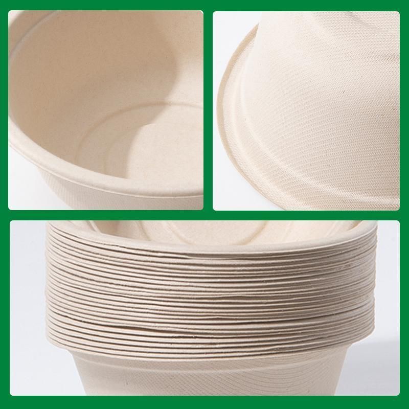 250PCS Food Preparation Burger Storages Cake Packaging Box Lunch Boxes Primary - Primary 500ml+PP lid