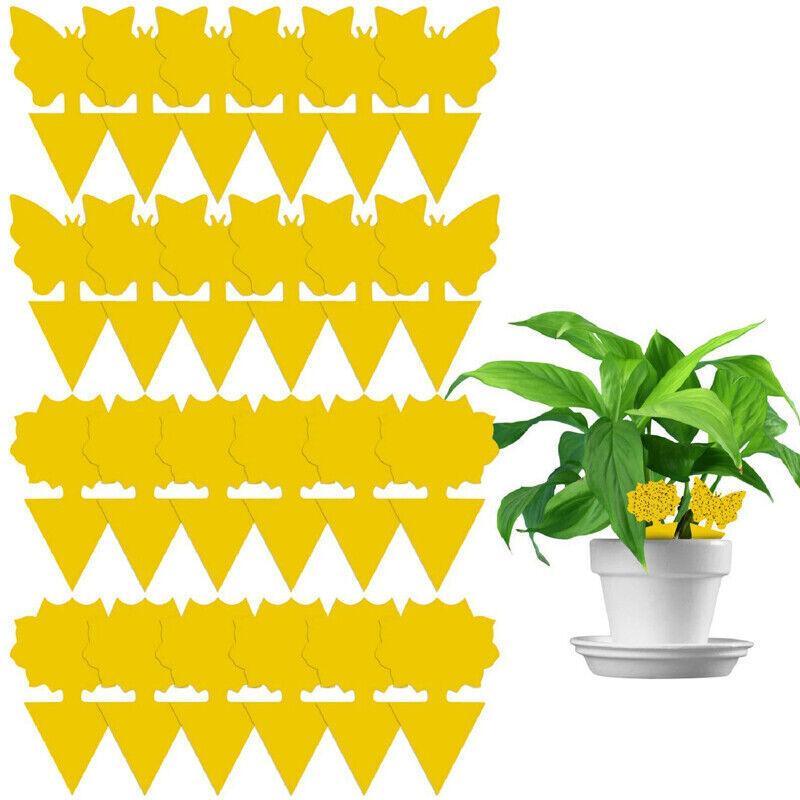 10X Dual Sided Sticky Trap Insect Killer Whitefly Thrip Fruit Fly Gnat - Sunflower 10PCS