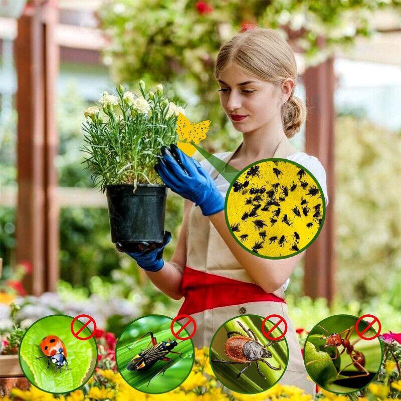 10X Dual Sided Sticky Trap Insect Killer Whitefly Thrip Fruit Fly Gnat - Sunflower 10PCS