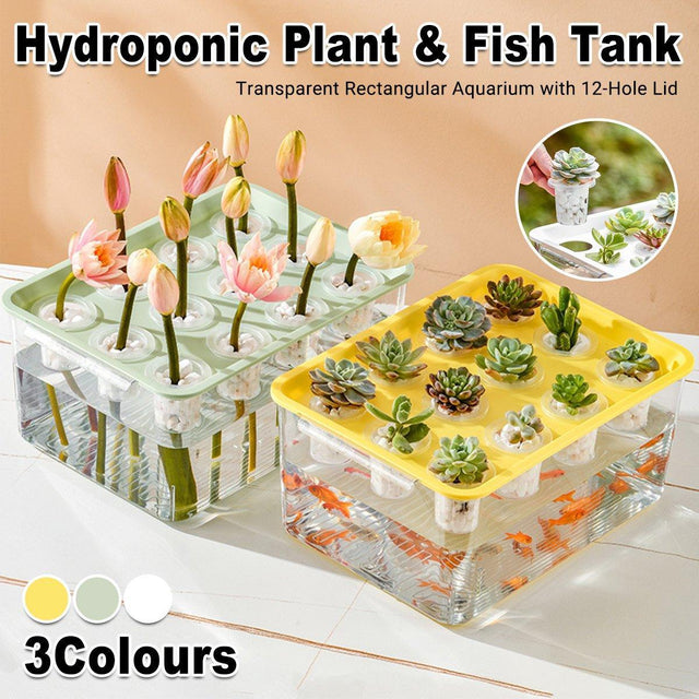 Transparent Rectangular Aquarium 12Hole Lid Hydroponic Plant Fish Tank Green