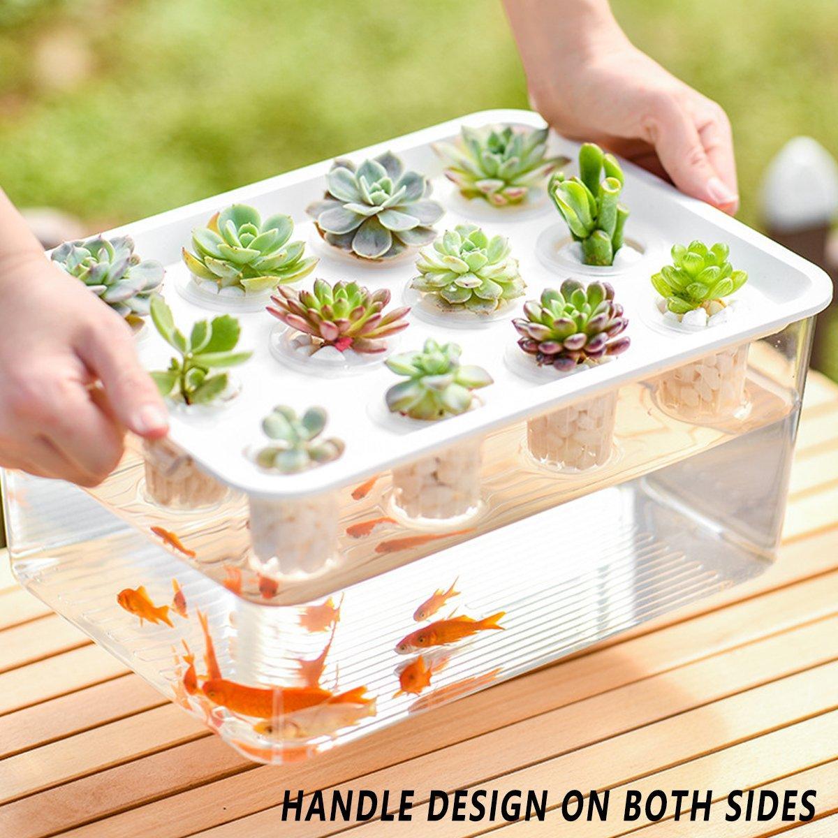 Transparent Rectangular Aquarium 12Hole Lid Portable Hydroponic Plant Fish Tank - Green