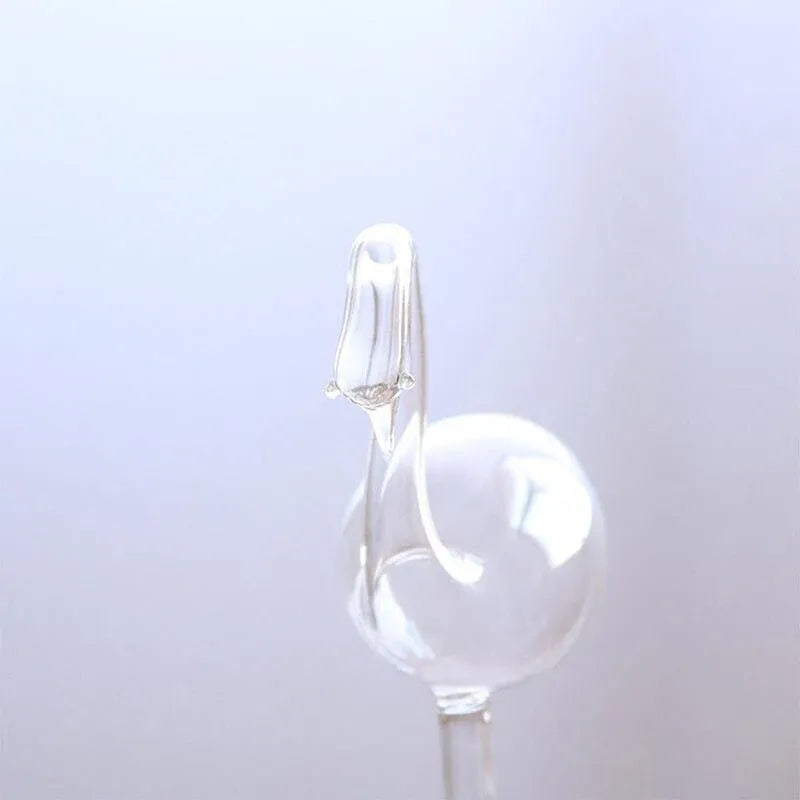 Automatic Self Plant Watering Glass Bulbs Water Feeder Indoor Irrigation Outdoor - Snail
