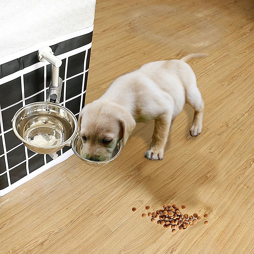 Wall Mounted Dog Bowl Adjustable Height Pet Feeder For Easy Feeding
