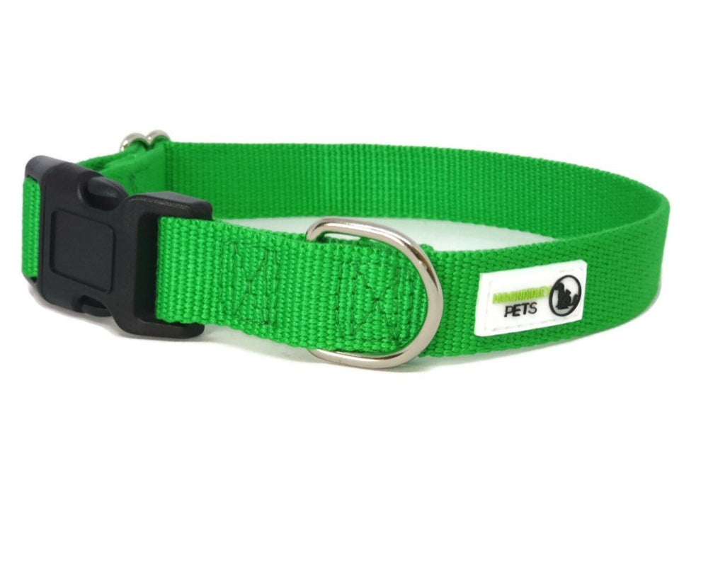 100% Pure Bamboo Fibre Dog Collar Plastic Buckle - Moondidley - Small Green