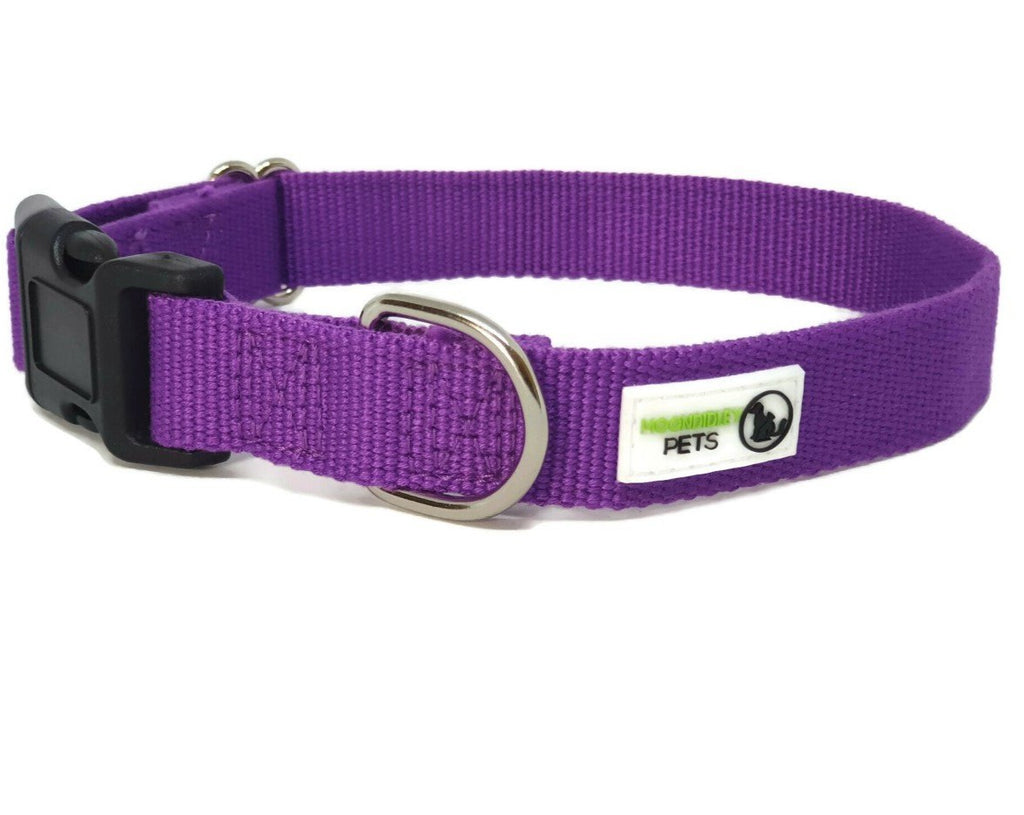 100% Pure Bamboo Fibre Dog Collar Plastic Buckle - Moondidley - Small Purple