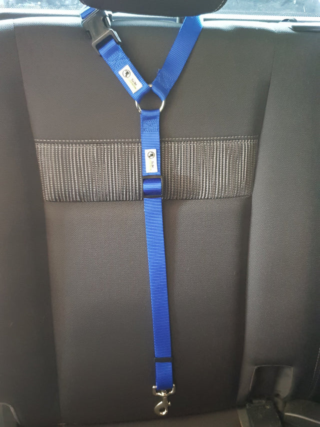 Dog Seatbelt Headrest Restraint Safety Travel - Moondidley Pets Blue