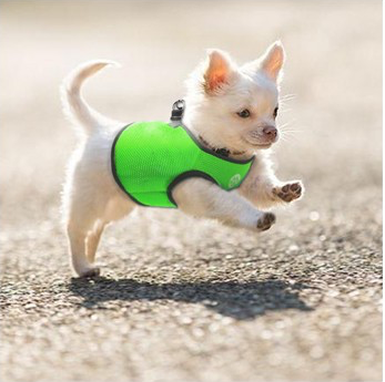 Vest Harness Pet Dog - Cat Step - in Velcro - Moondidley Pets Small Light Blue