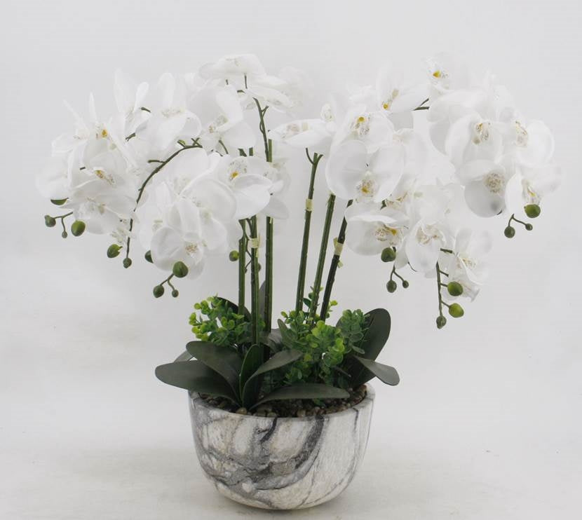 Large White Orchid In Marble Look Pot 64cm