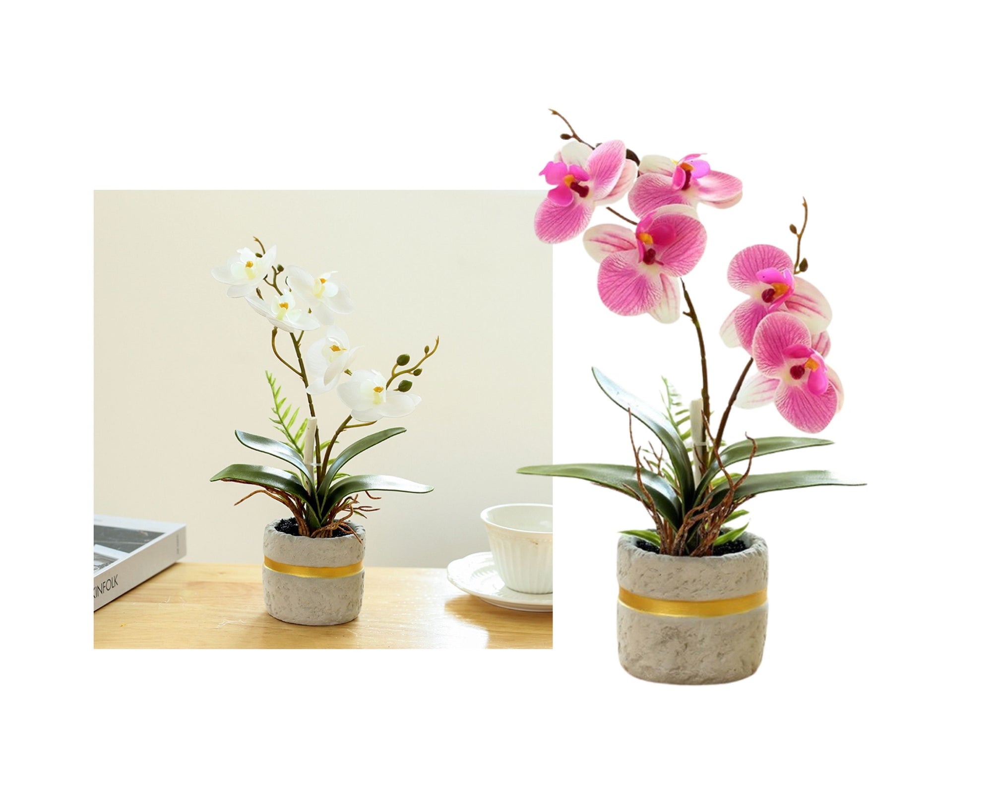 Set 2 Artificial Orchid in Cement Pot 27cm