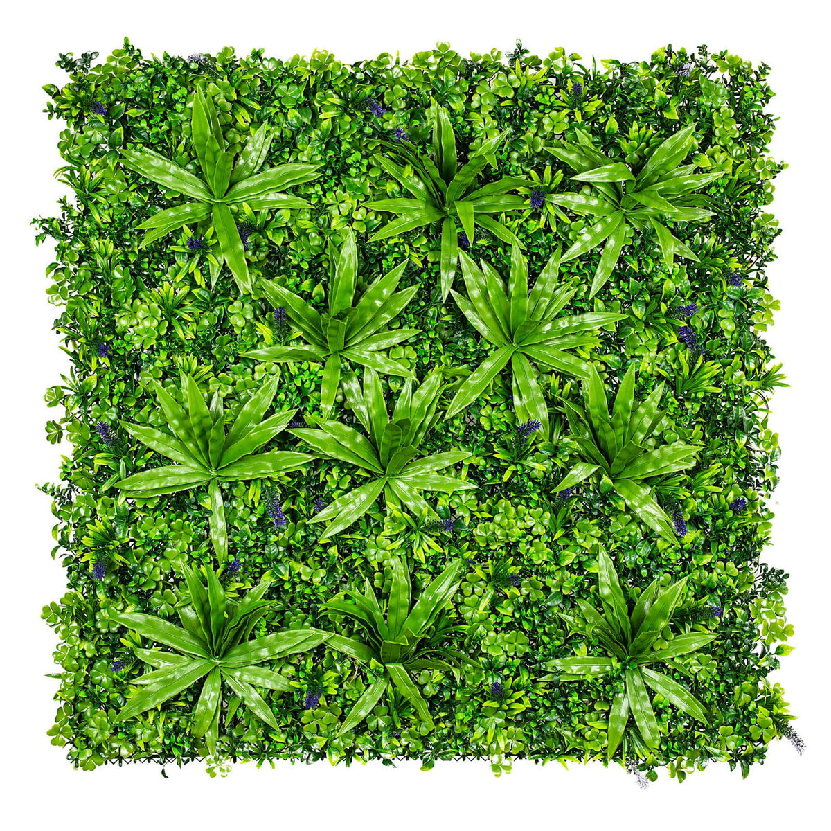 Lavandula Vertical Garden / Green Wall UV Resistant 1m X 1m