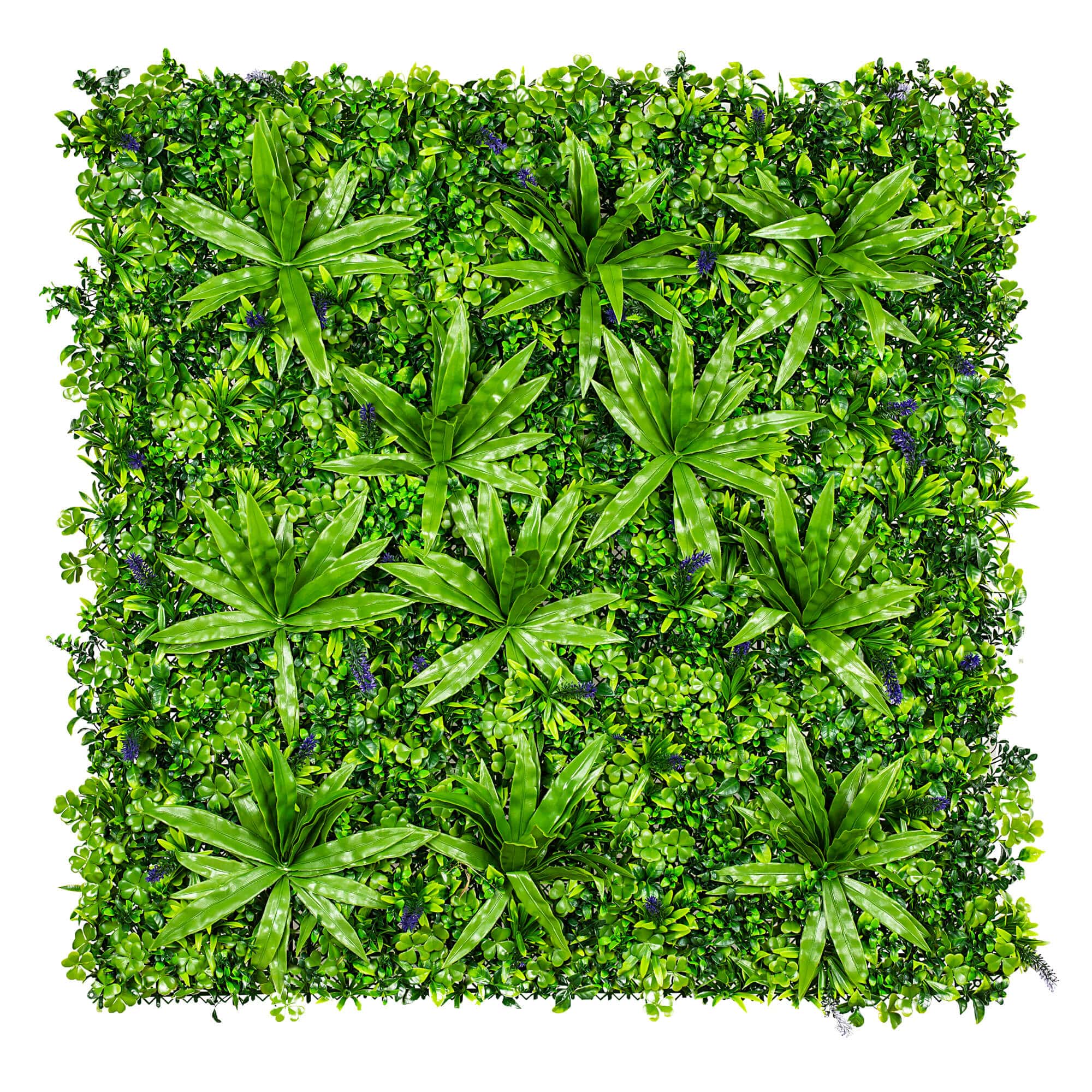 Lavandula Vertical Garden / Green Wall UV Resistant SAMPLE