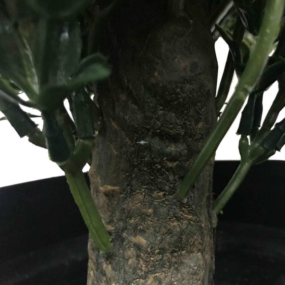 Artificial Topiary Shrub (Hedyotis) UV Resistant 50cm