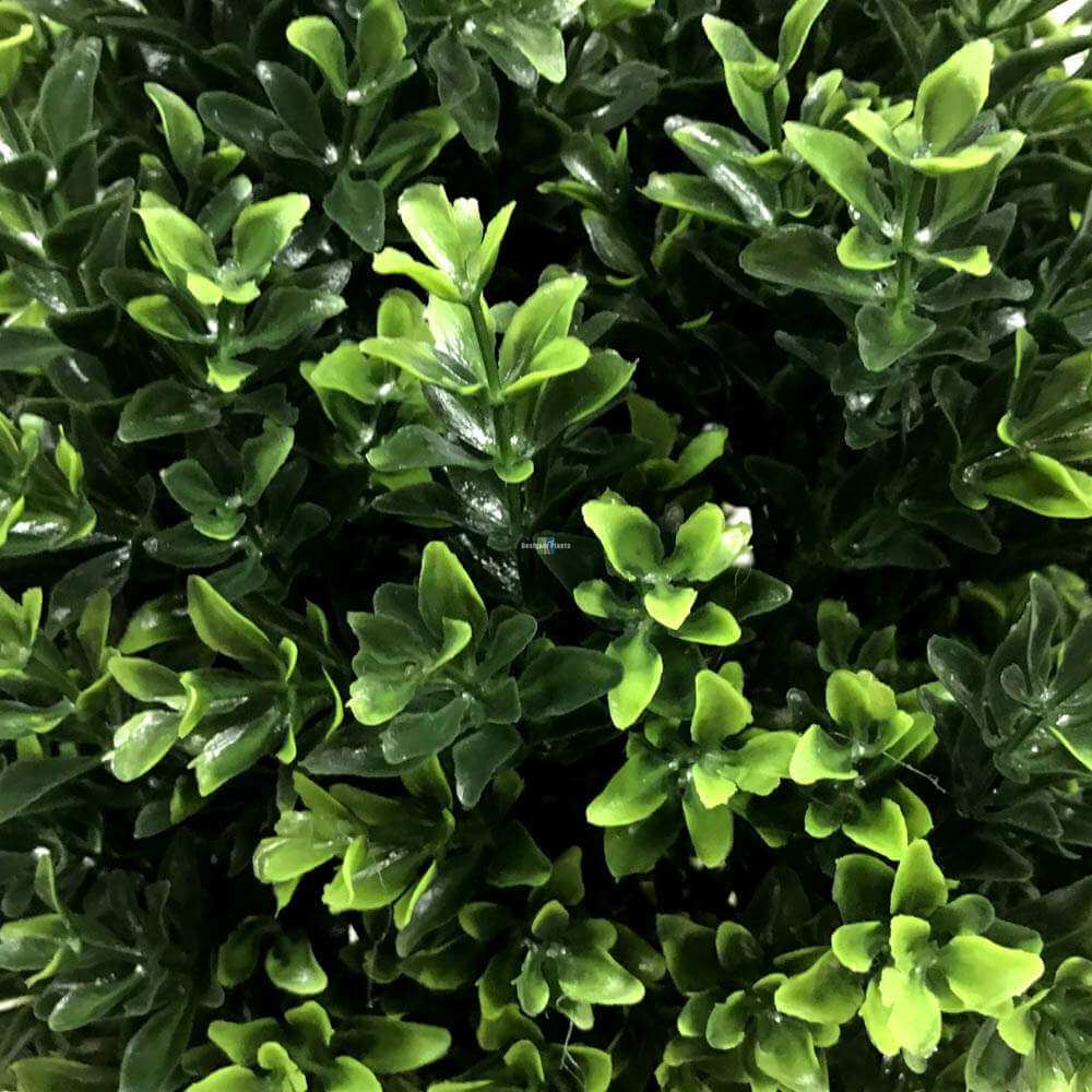 Artificial Topiary Shrub (Hedyotis) UV Resistant 50cm