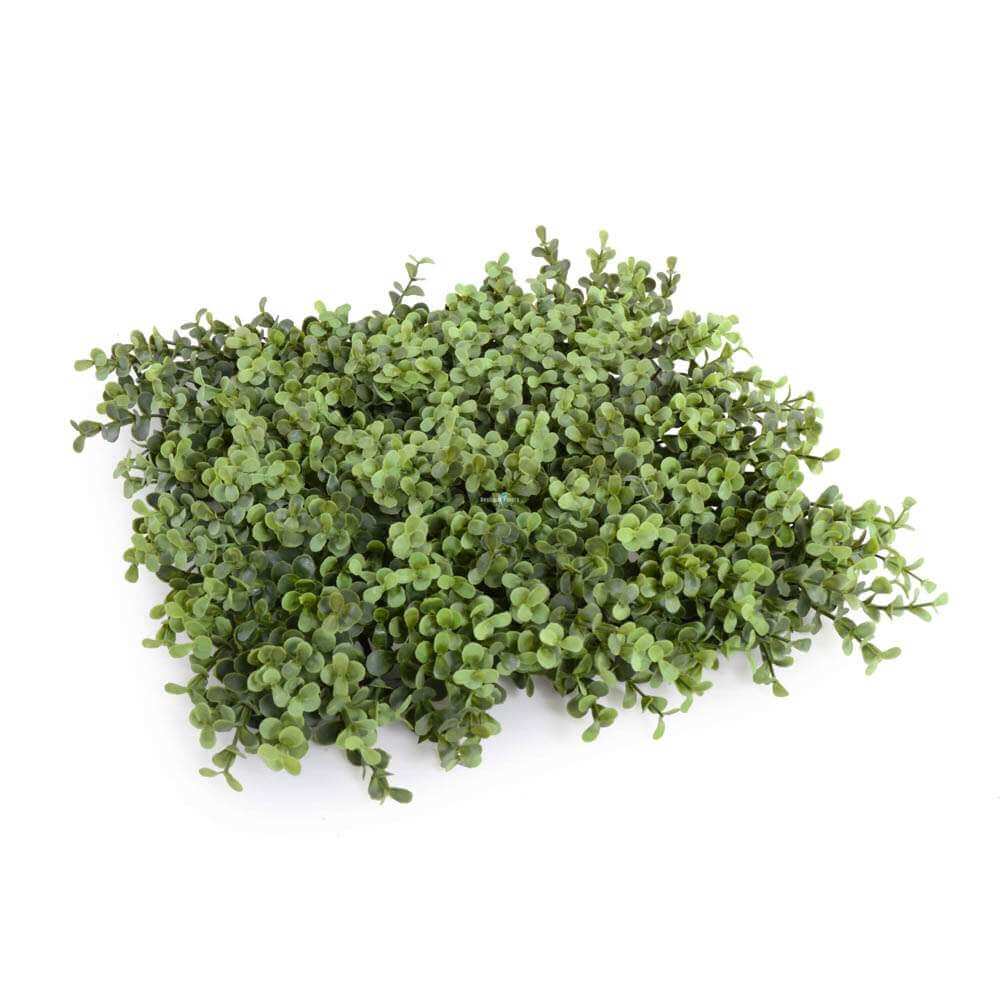 Deluxe Portable Buxus Hedge UV Resistant 100cm Long x 100cm High
